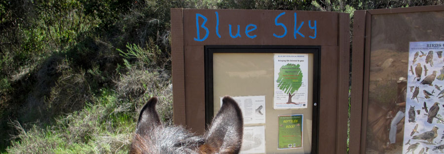 Blue Sky Sign