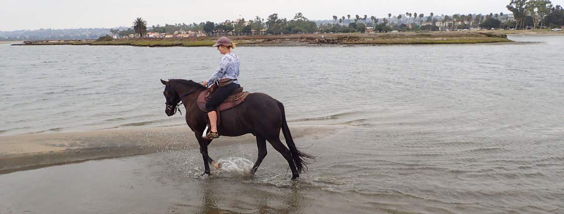 peggy and solo at fiesta island