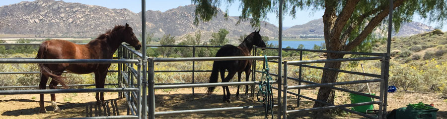 Lake Perris corrals
