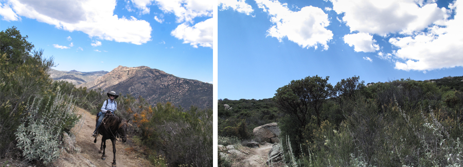 clouds and trail with meredith and shady