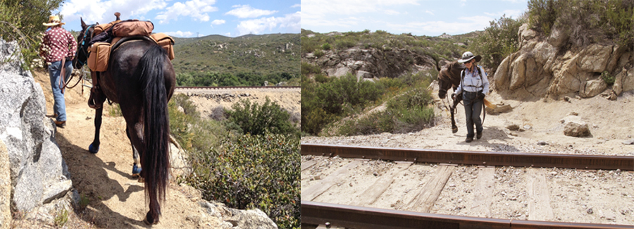 railroad tracks crossing