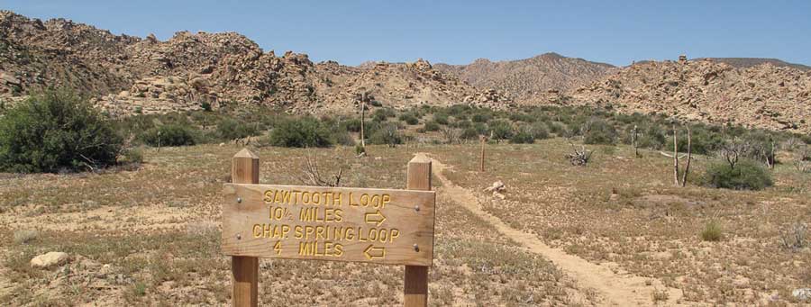 Sawtooth Loop