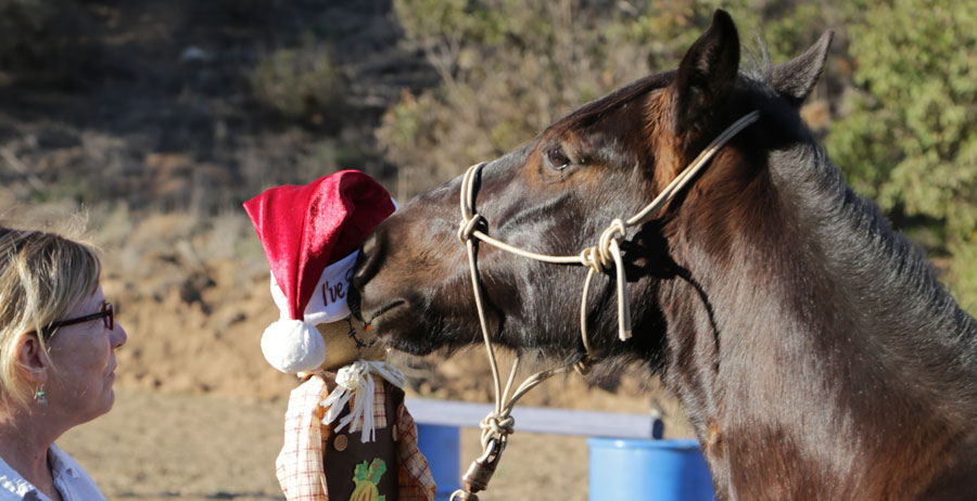 Solo with Santa