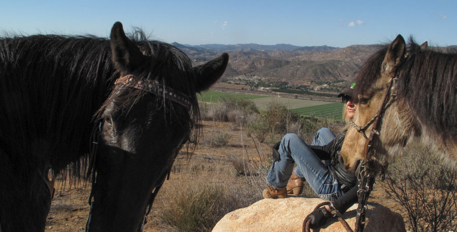 Resting at the lookout